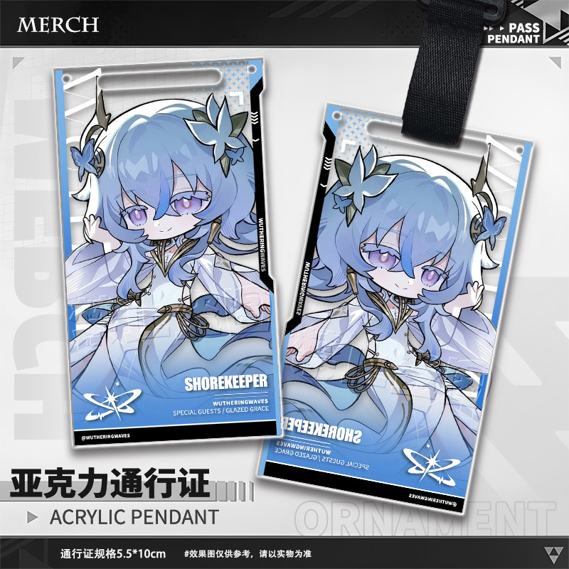 Game Wuthering Waves Aemeath T - Anime Merchandise Bag 评论和价格